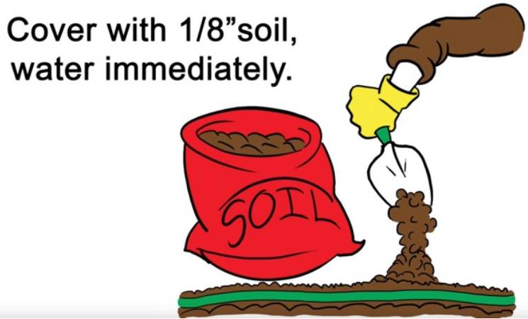 Cover with soil