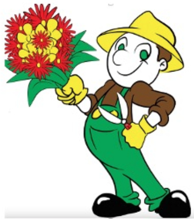 Flower is ready