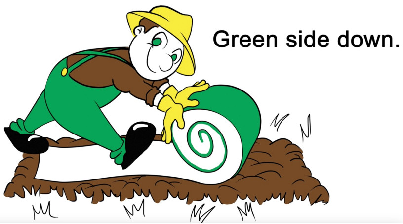 Green side down