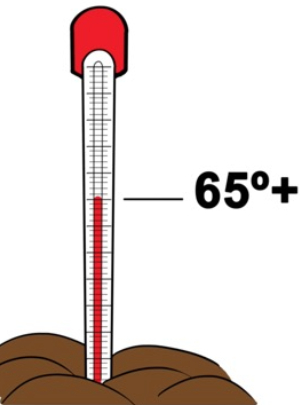 Measure temperature