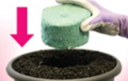 Prepare soil